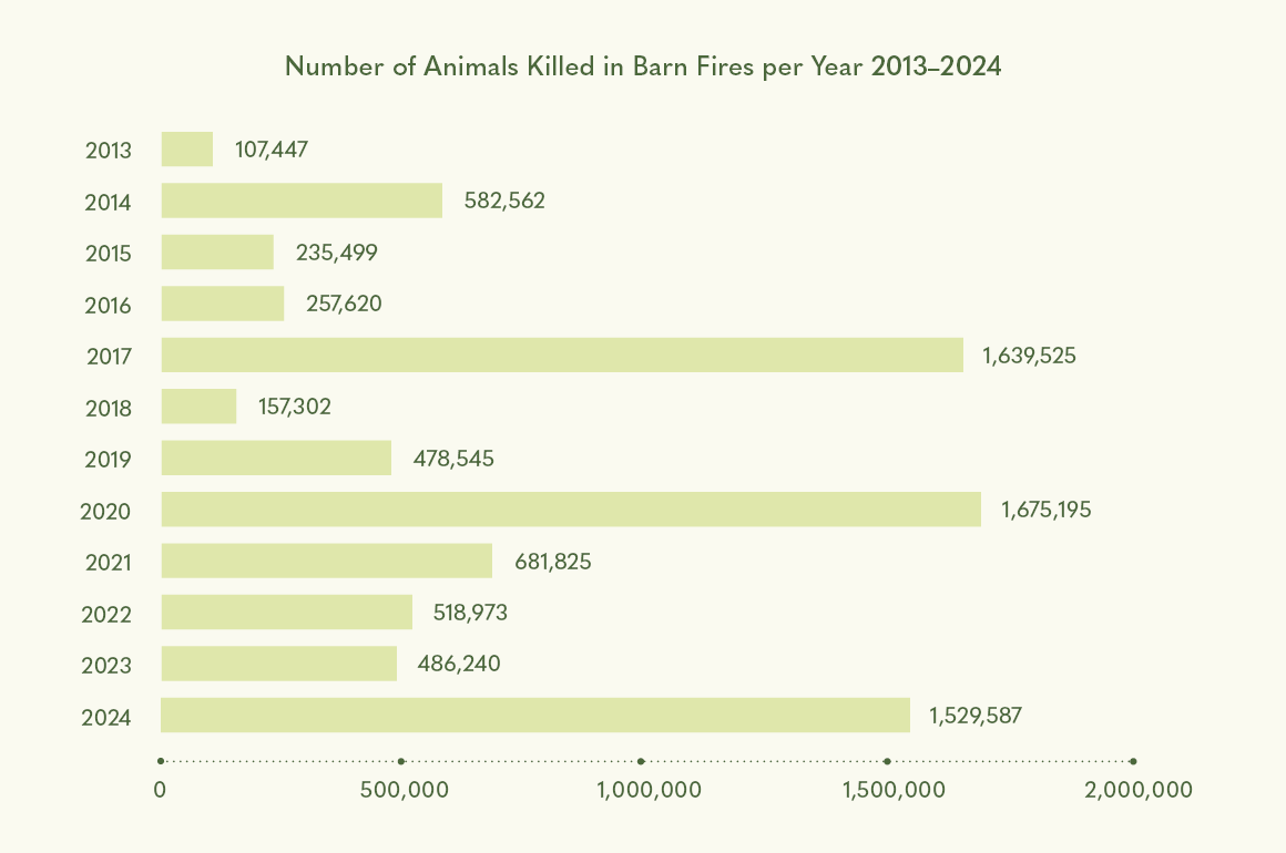 Bar graphic depicting the number of animals killed in barn files per year (2013-2024)