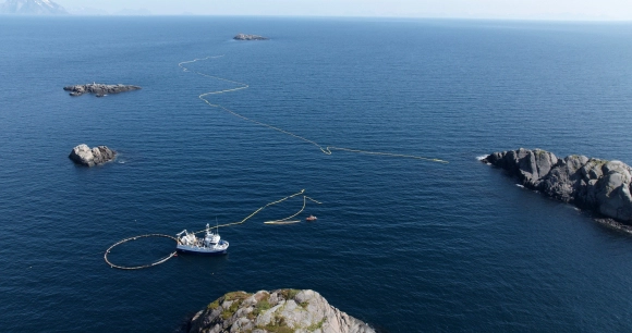 drone captured image of a US-backed research study that aimed to capture whales in northern Norway