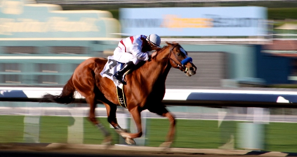 a jockey and horse in a race