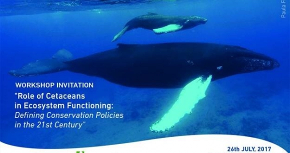 A copy of an invitation to a workshop at the 2017 International Congress of the Society for Conservation Biology. An orca and its calf are featured.