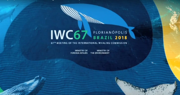 a promotional image for the International Whaling Commission's 2018 meeting