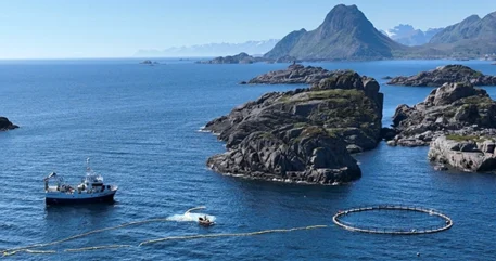drone footage from a ocean site in Norway where researchers from the United States and Norway attempted to measure the whales’ brain waves to determine their reaction to naval sonar and noise