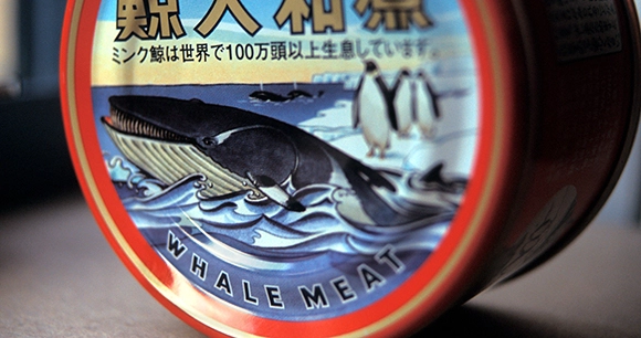 can of whale meat