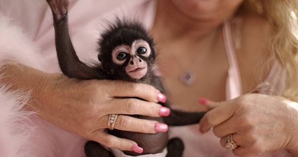 woman holding baby chimp from hbo documentary series chimp crazy