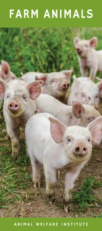 Brochure cover of Farm Animals
