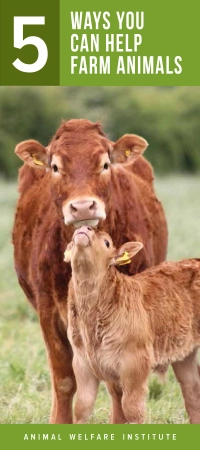 Brochure cover of Five Ways You Can Help Farm Animals