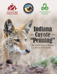 Report cover of Indiana Coyote Penning