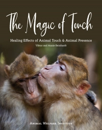 Book cover of The Magic of Touch