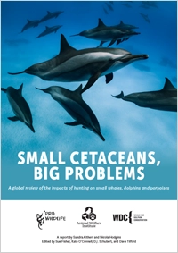 Brochure cover of Small Cetaceans, Big Problems