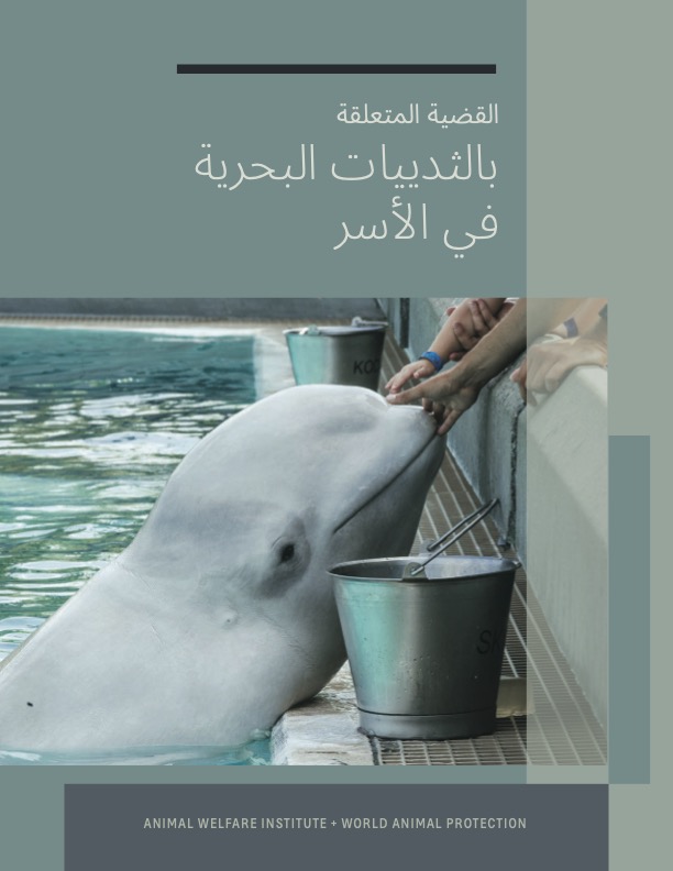 Book cover of The Case Against Marine Animals in Captivity Arabic version