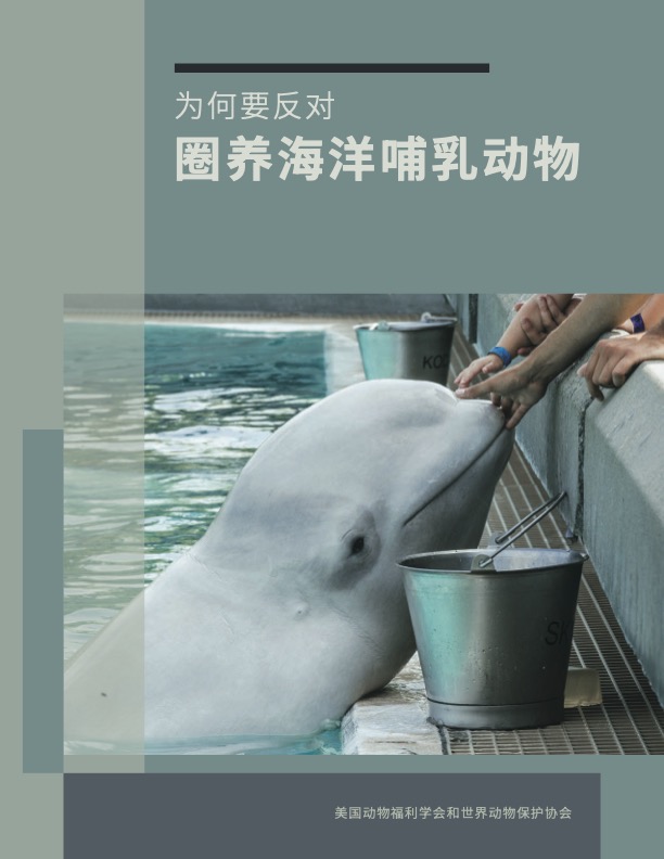 Book cover of The Case Against Marine Animals in Captivity Chinese version