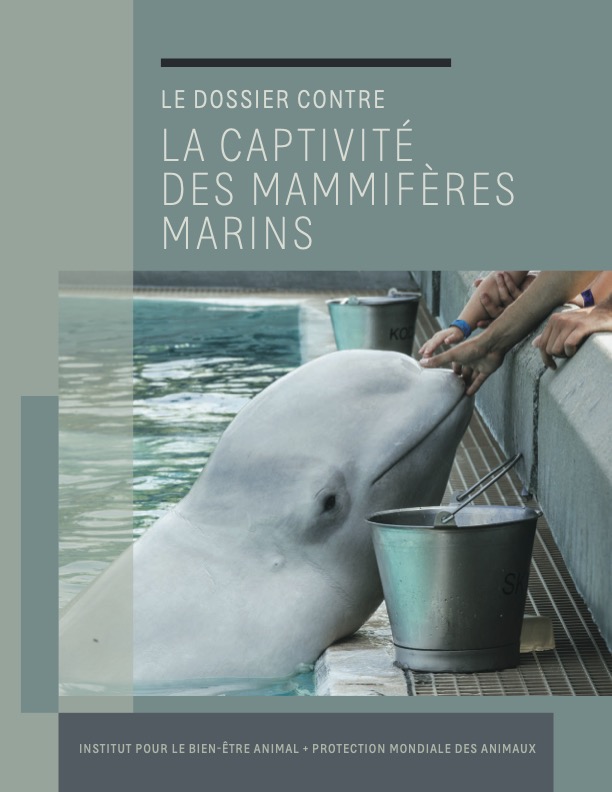 Book cover of The Case Against Marine Animals in Captivity French version