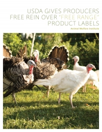 Report cover of USDA Gives Producers Free Rein Over “Free Range” Product Labels