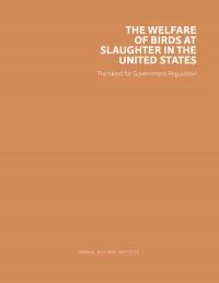 Report cover of The Welfare of Birds at Slaughter in the United States