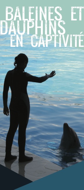 Brochure cover of Whales and Dolphins in Captivity French version