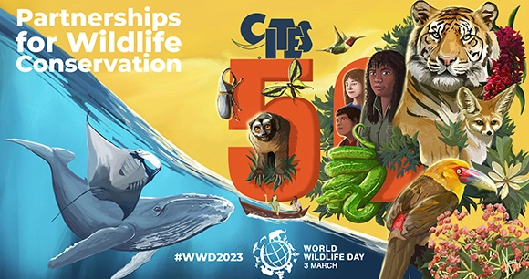 promotional image for world wildlife day 2023