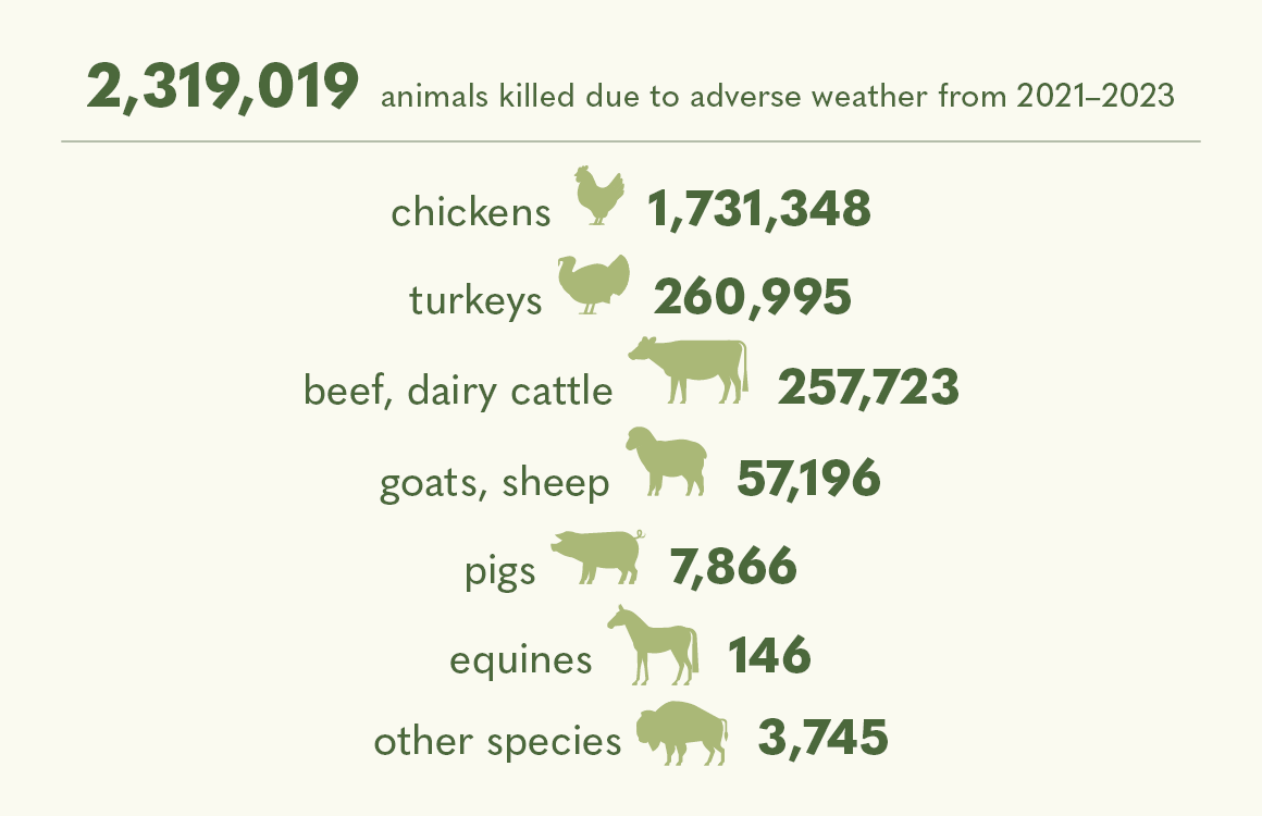 Number of Animals Killed Due to Adverse Weather from 2021-2023