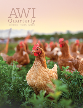 chickens roam in pasture