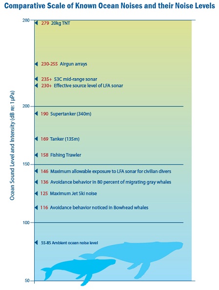 Graphic displaying Comparative Scale of Known Ocean Noises and Their Noise Levels