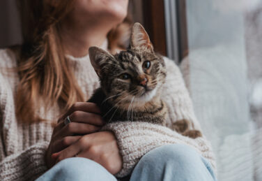 A cat looks lovingly into the camera while being cuddled on a woman's lap.