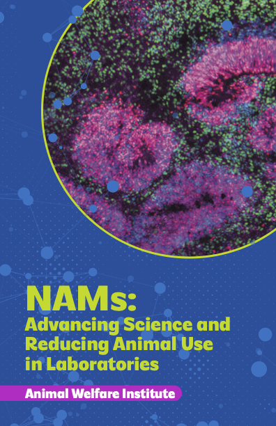 (Cover Image) NAMS: Advancing Science and Reducing Animal Use in Laboratories